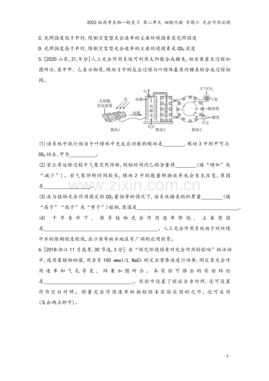 2022版高考生物一轮复习-第二单元-细胞代谢-专题六-光合作用试题.doc_第3页