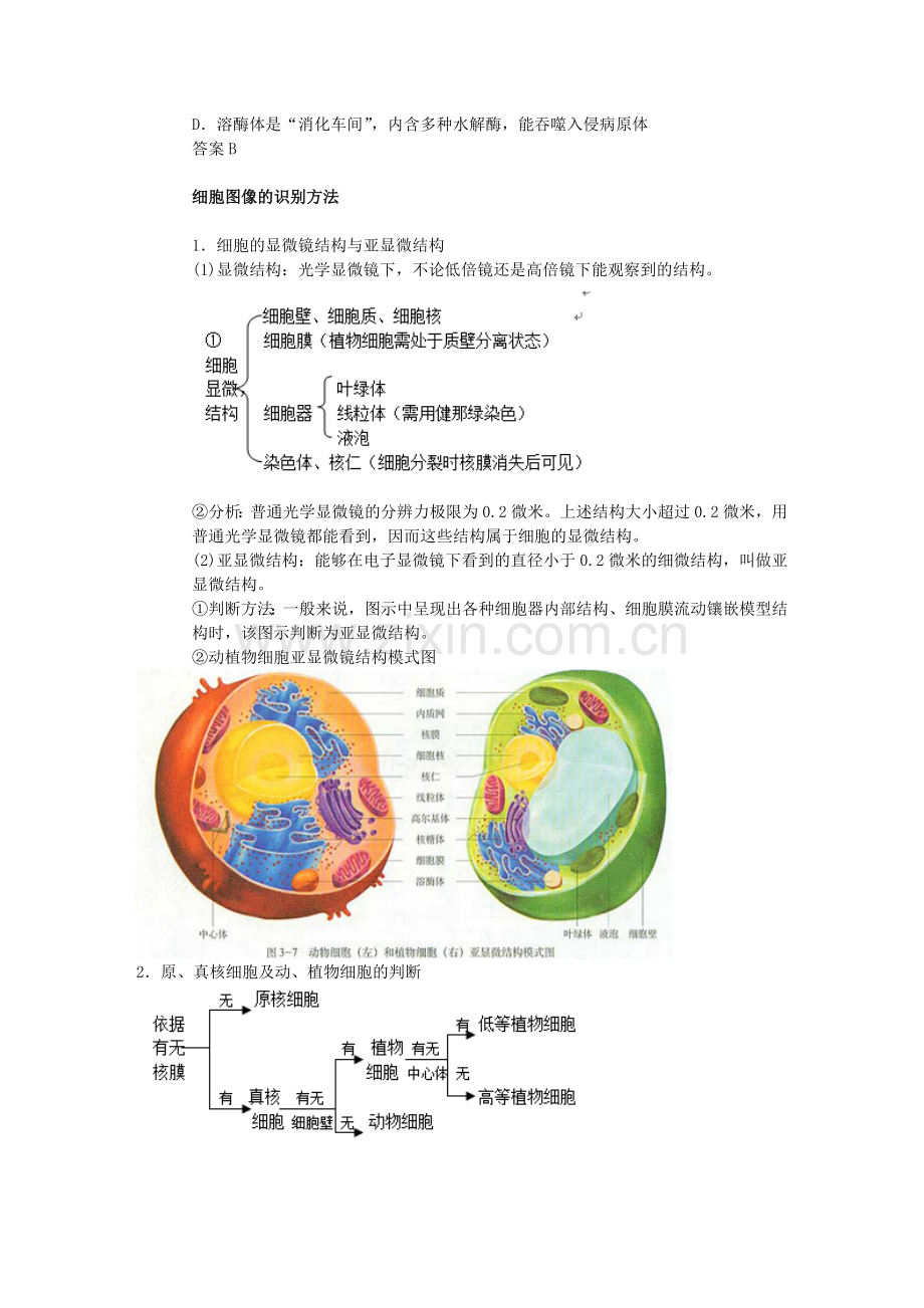 各种细胞器的结构和功能.doc_第3页