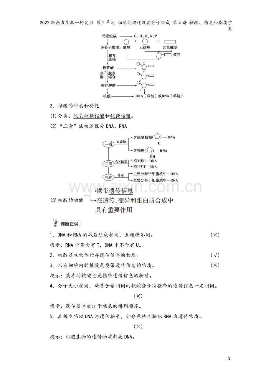 2022版高考生物一轮复习-第1单元-细胞的概述及其分子组成-第4讲-核酸、糖类和脂质学案.doc_第3页