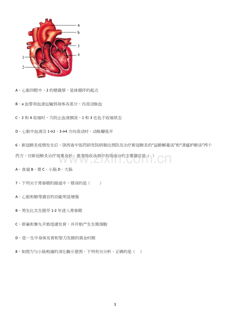 通用版初中生物七年级下册第四单元生物圈中的人知识点总结归纳.docx_第3页