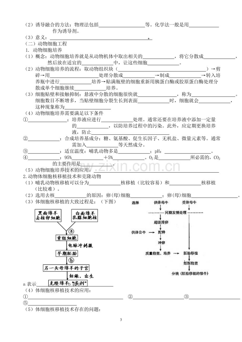 高中生物选修三知识点总结填空版.doc_第3页