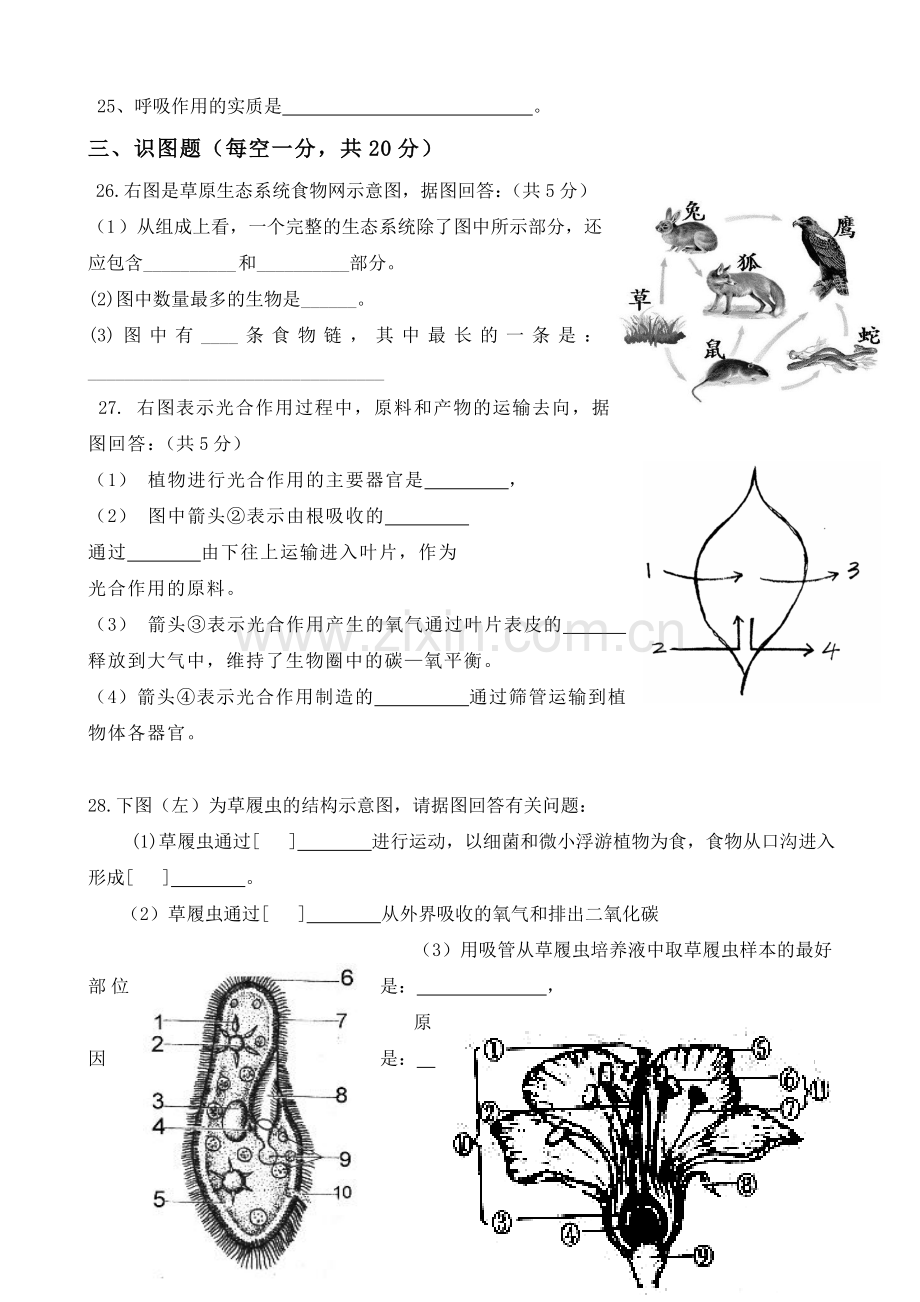 新人教版七年级生物上册期末试卷.doc_第3页