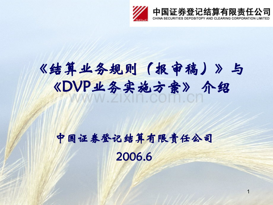 《结算业务规则(报审稿)》与《DVP业务实施方案》.ppt_第1页