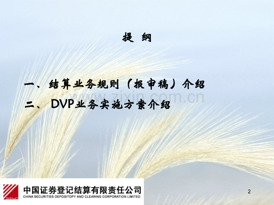 《结算业务规则(报审稿)》与《DVP业务实施方案》.ppt_第2页