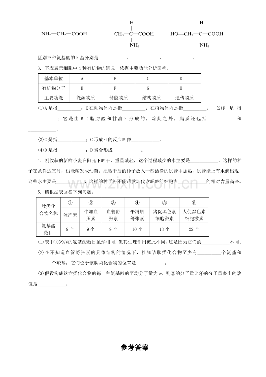 高中生物组成细胞的分子测试题及答案.doc_第3页