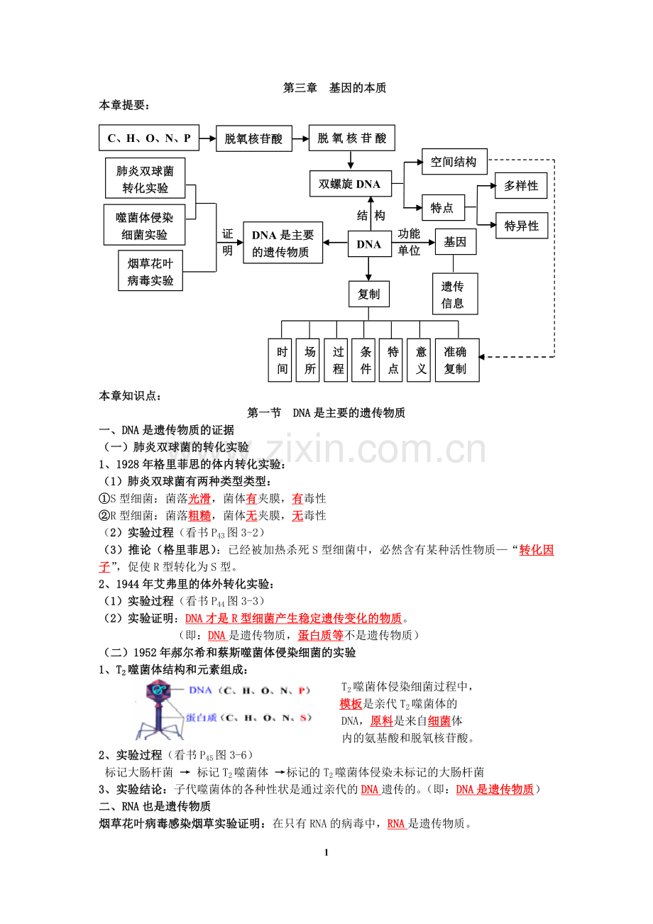 第三章基因的本质知识点.doc_第1页