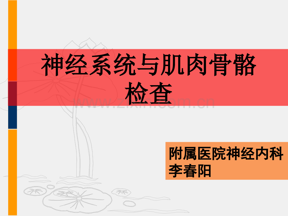 神经系统检查【可编辑的PPT文档】.ppt_第1页