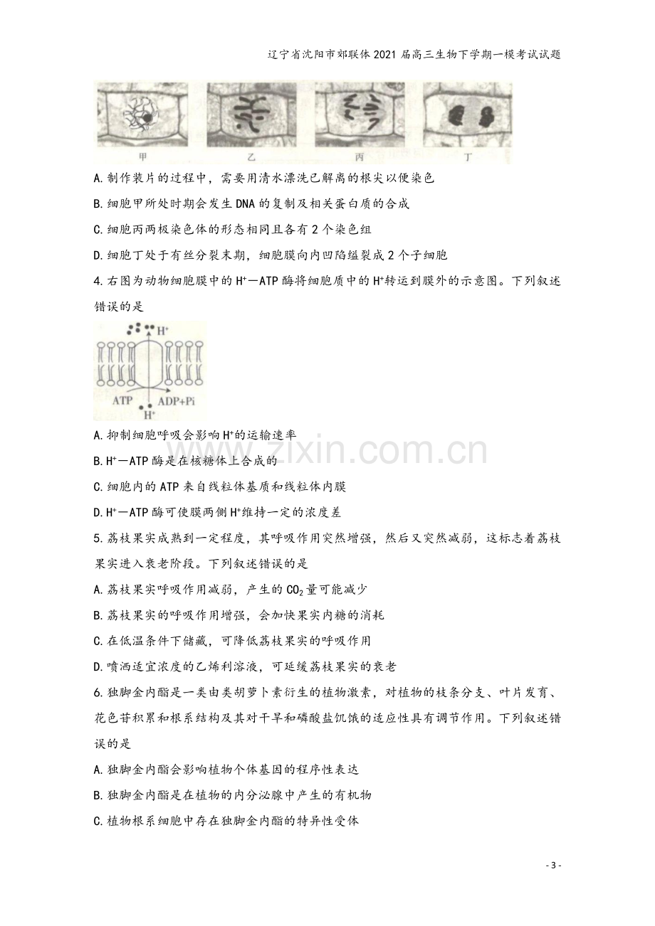 辽宁省沈阳市郊联体2021届高三生物下学期一模考试试题.doc_第3页