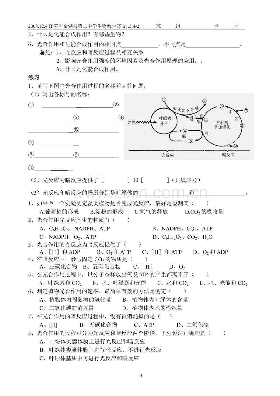 第4节能量之源-光与光合作用-2.doc_第3页