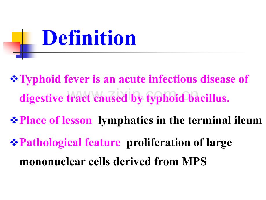 伤寒Typoid-Fever.ppt_第2页