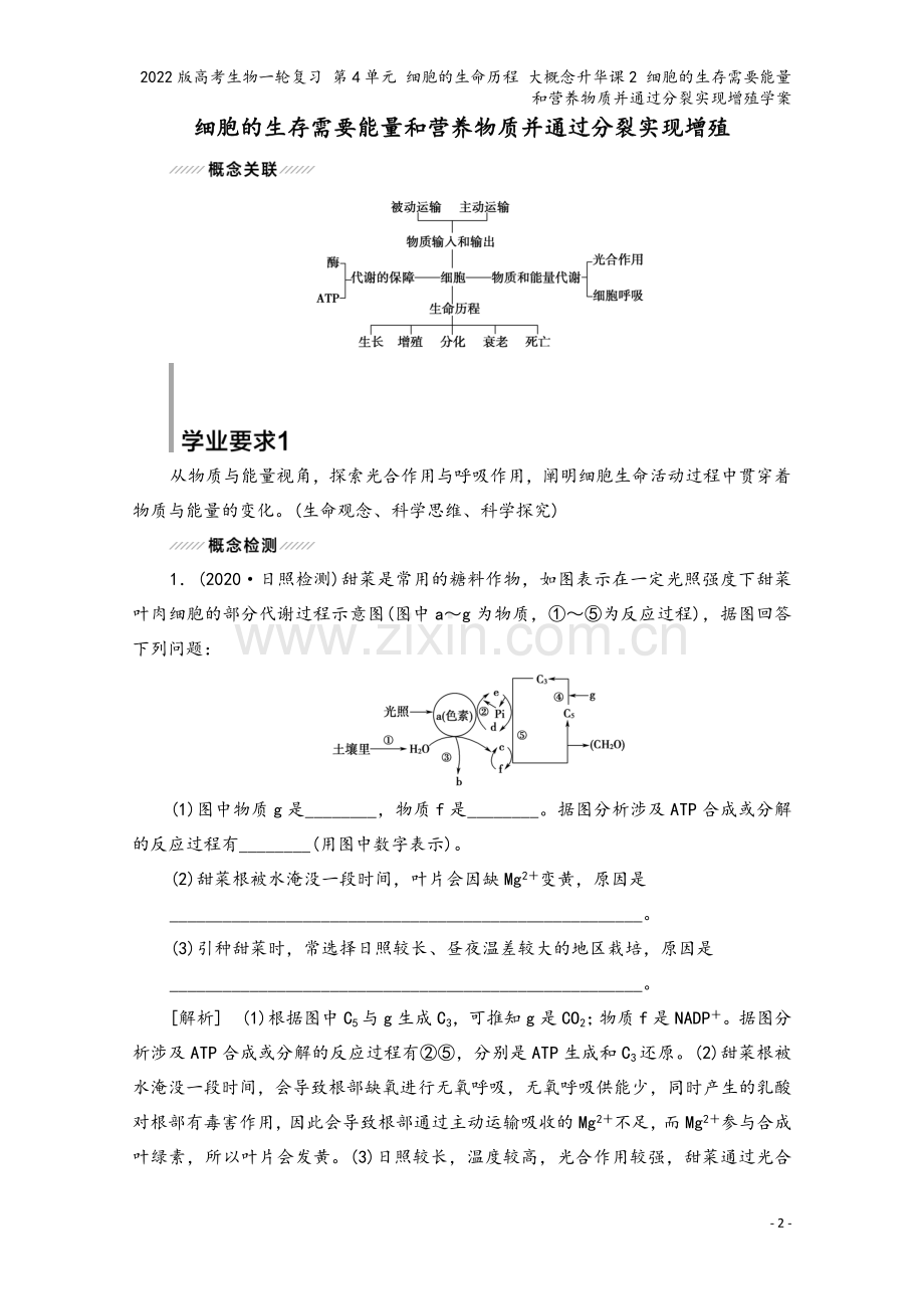 2022版高考生物一轮复习-第4单元-细胞的生命历程-大概念升华课2-细胞的生存需要能量和营养物质并.doc_第2页