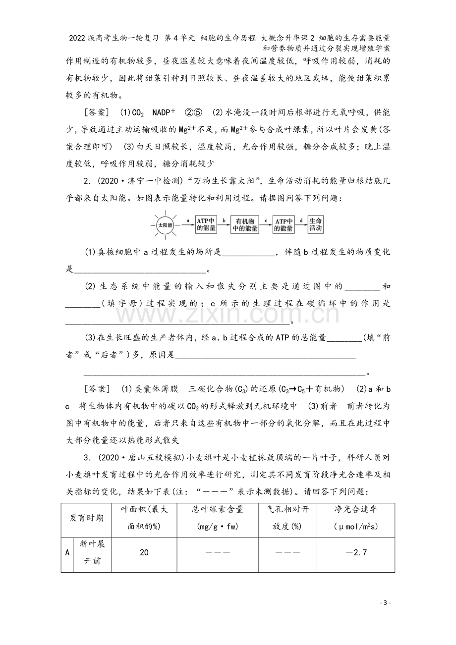 2022版高考生物一轮复习-第4单元-细胞的生命历程-大概念升华课2-细胞的生存需要能量和营养物质并.doc_第3页