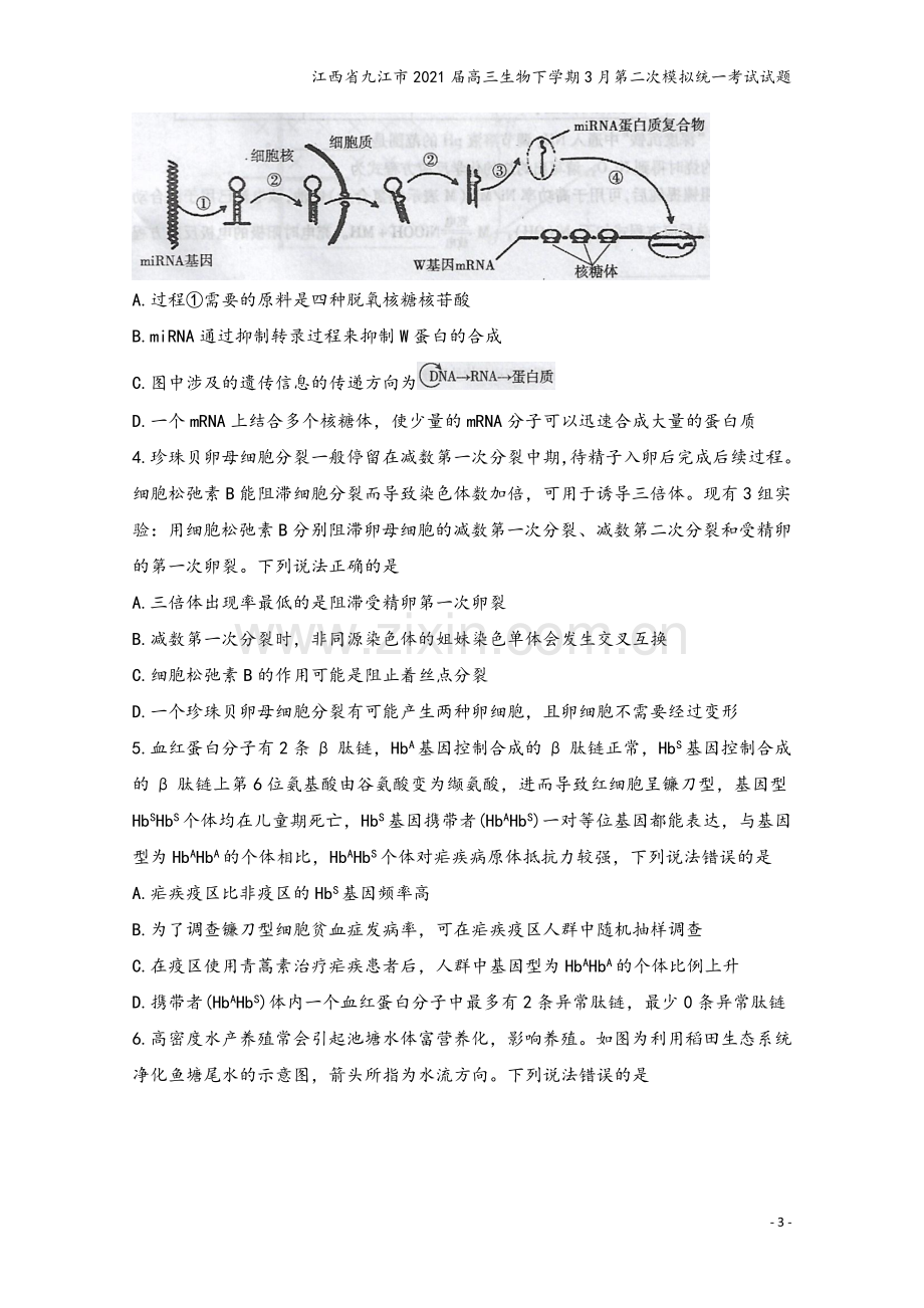 江西省九江市2021届高三生物下学期3月第二次模拟统一考试试题.doc_第3页