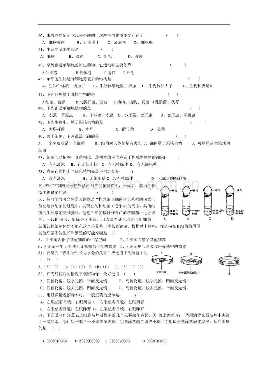 浙教版科学七年级上册第二章观察生物复习练习题库附参考答案.doc_第3页