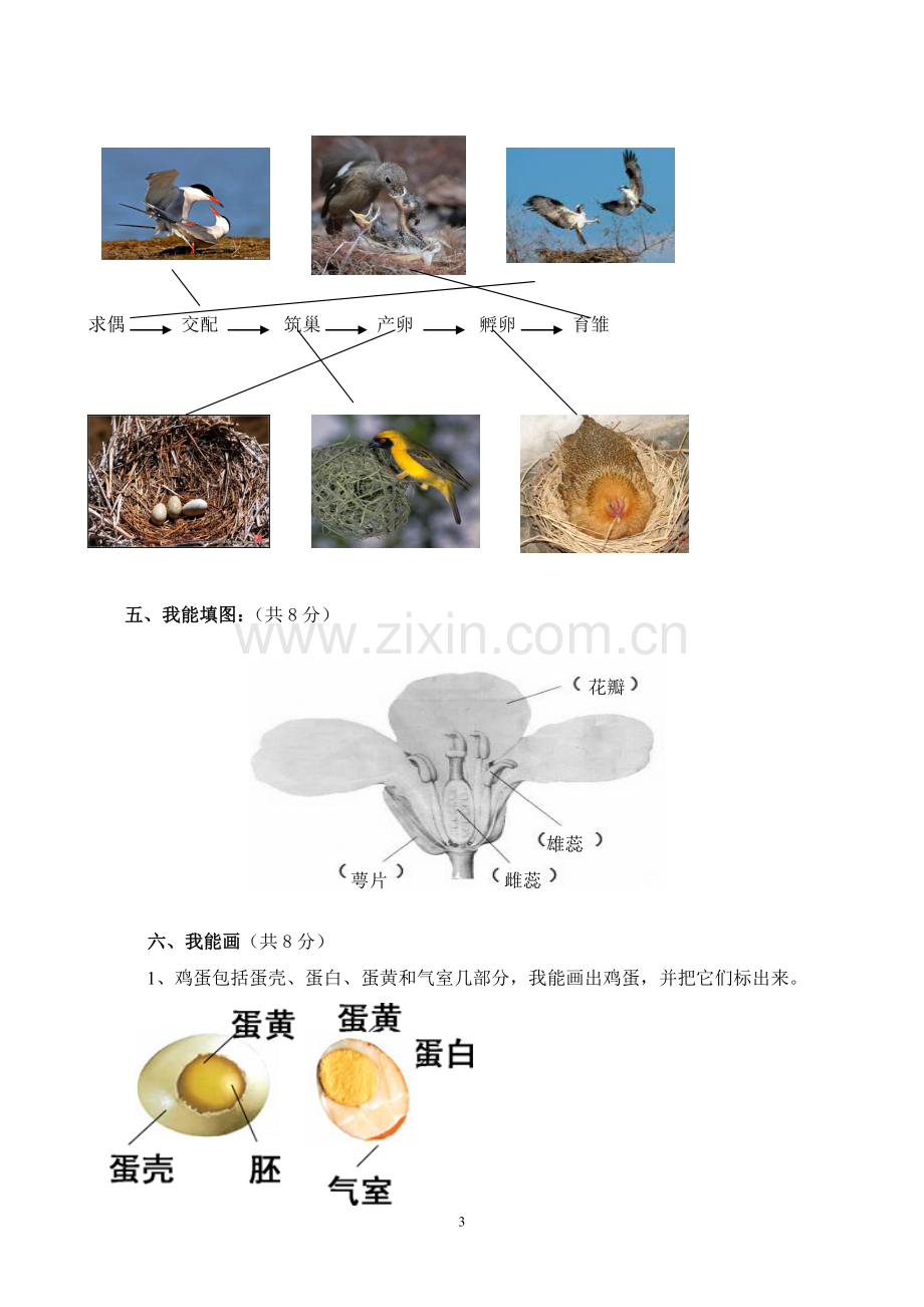 新教科版小学科学四年级下册第二单元检测卷参考答案.doc_第3页