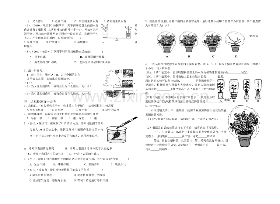 第三单绿色植物参与生物圈的水循环复习学案.doc_第2页