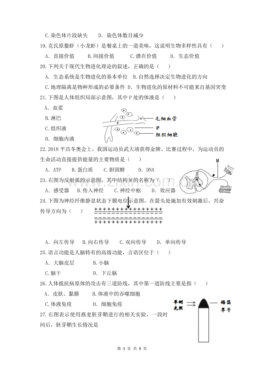 2018年江苏普通高中学业水平测试必修科目试卷生物单项.doc_第3页