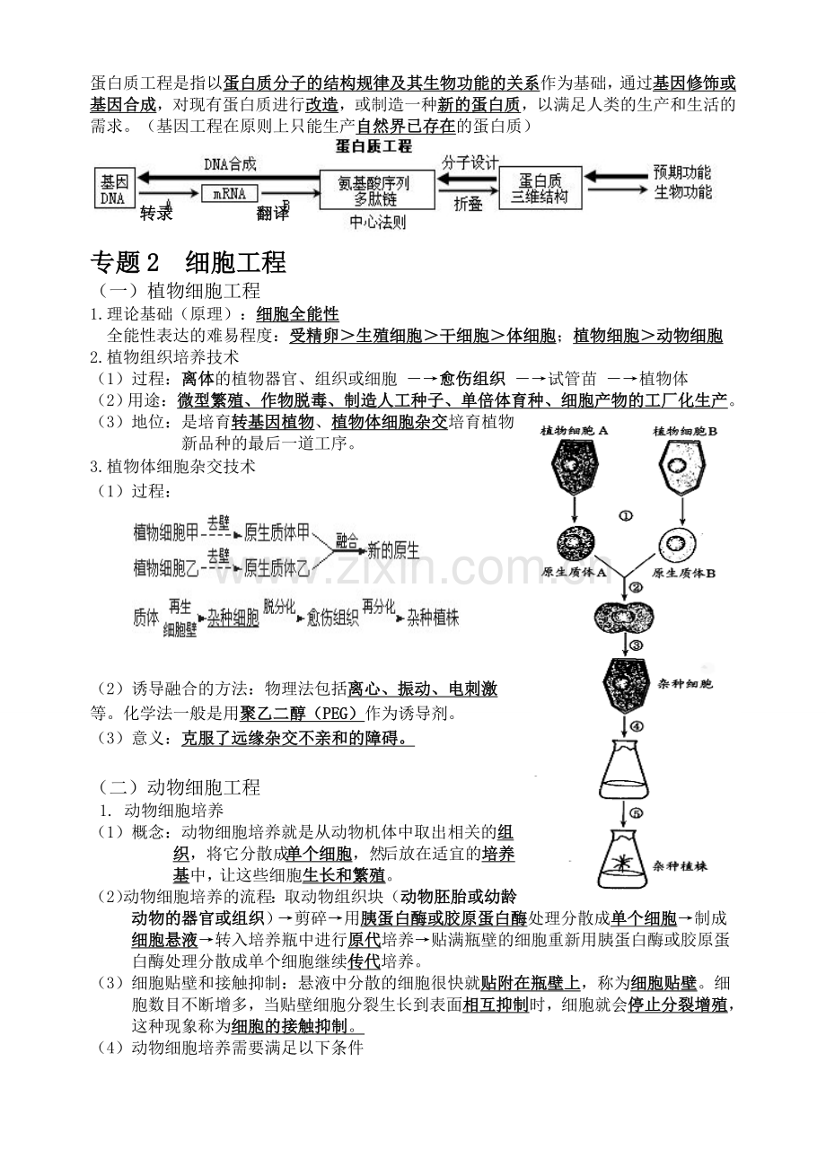 人教版高中生物课堂笔记生物选修3.doc_第3页