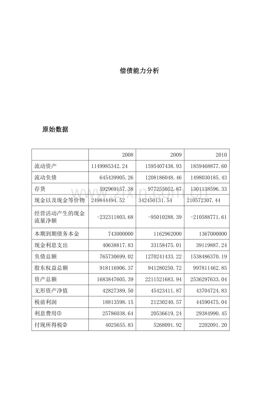 新赛集团09-10年度偿债能力分析模板.doc_第1页