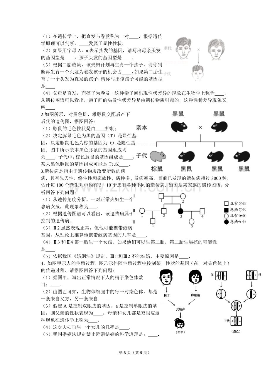 第三节基因的显性和隐性练习题.doc_第3页