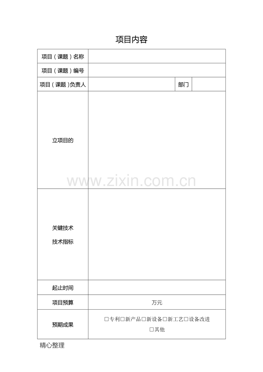 企业科技项目立项书模板.doc_第2页