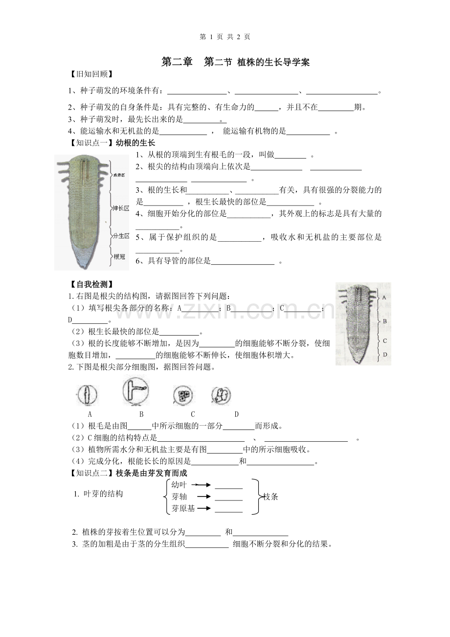 第二章第二节植株的生长导学案.doc_第1页