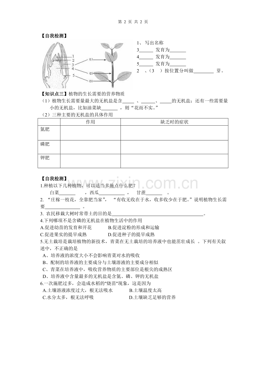 第二章第二节植株的生长导学案.doc_第2页