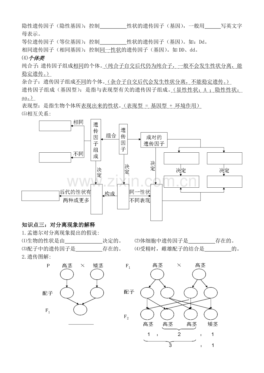 第一章第一节孟德尔的豌豆杂交实验(一)学案.doc_第2页