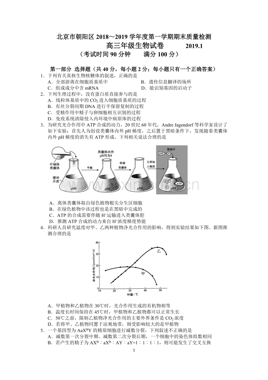 2018-2019朝阳区高三生物期末试题.doc_第1页