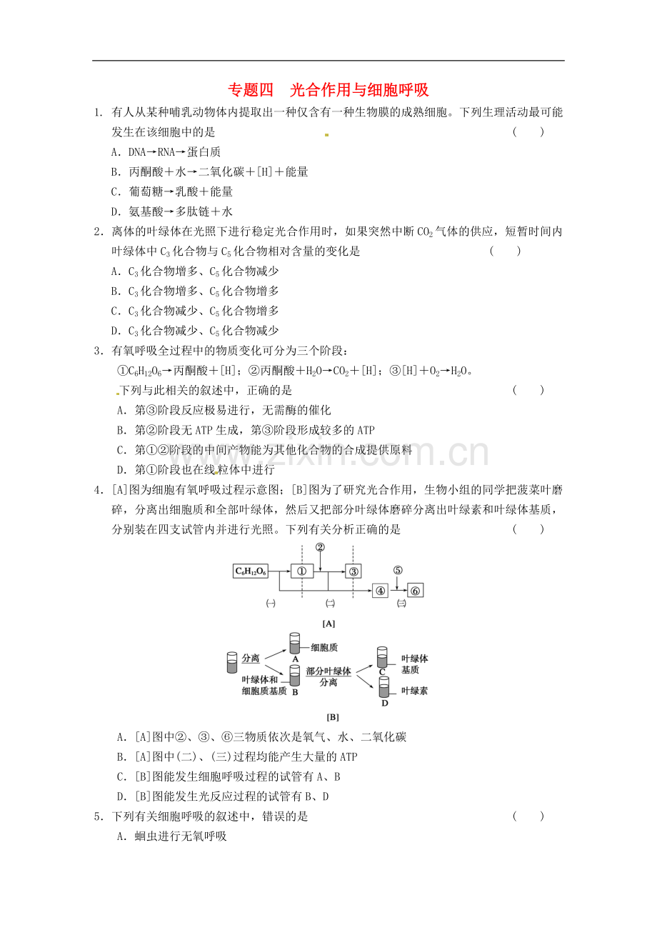 高三生物二轮专题四细胞呼吸与光合作用新人教版.doc_第1页