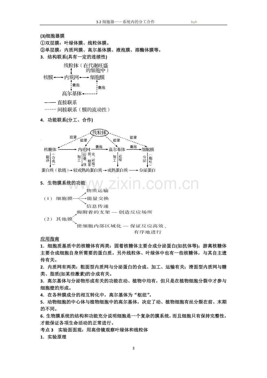 3.2细胞器——系统内的分工合作-知识点.doc_第3页