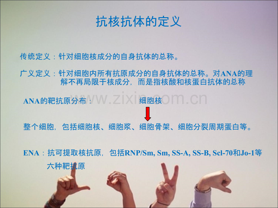 抗核抗体ANA检测与临床应用【可编辑的PPT文档】.ppt_第3页