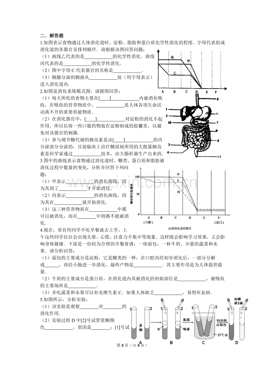 第二节消化和吸收练习题.doc_第3页