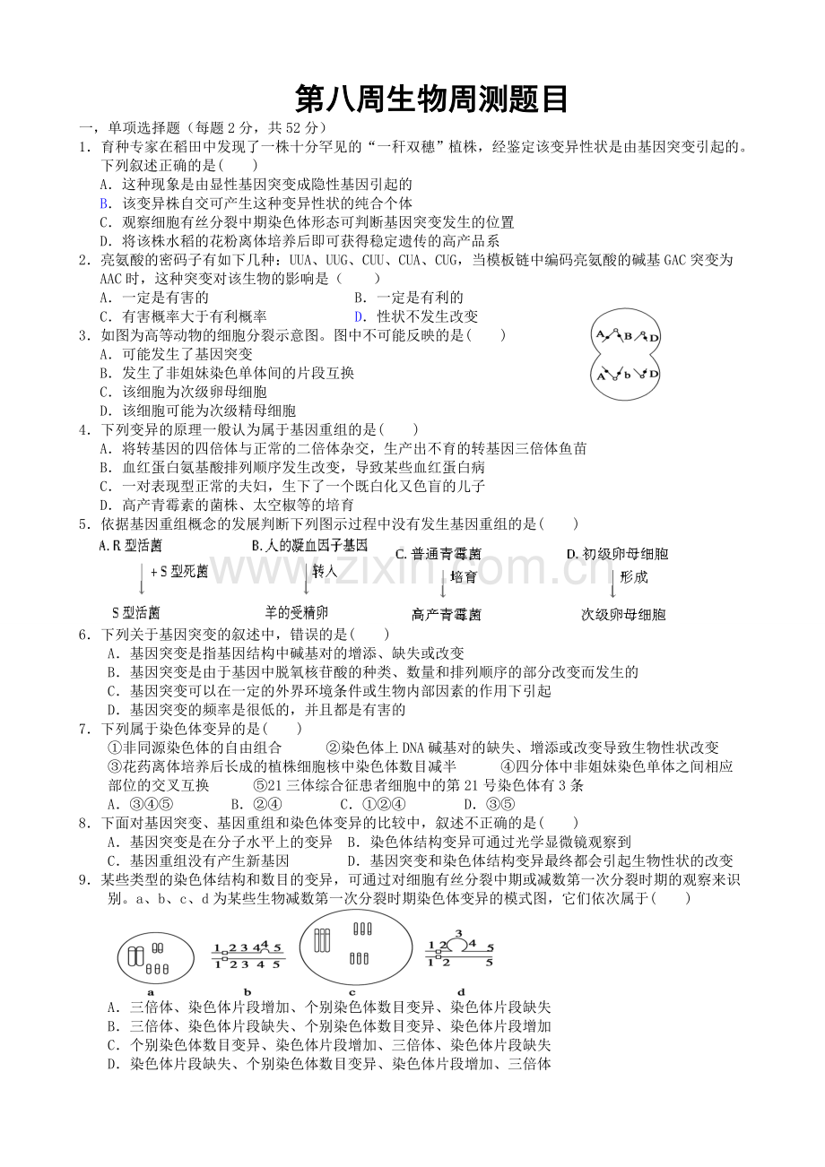 高中生物必修二练习题及答案.doc_第1页