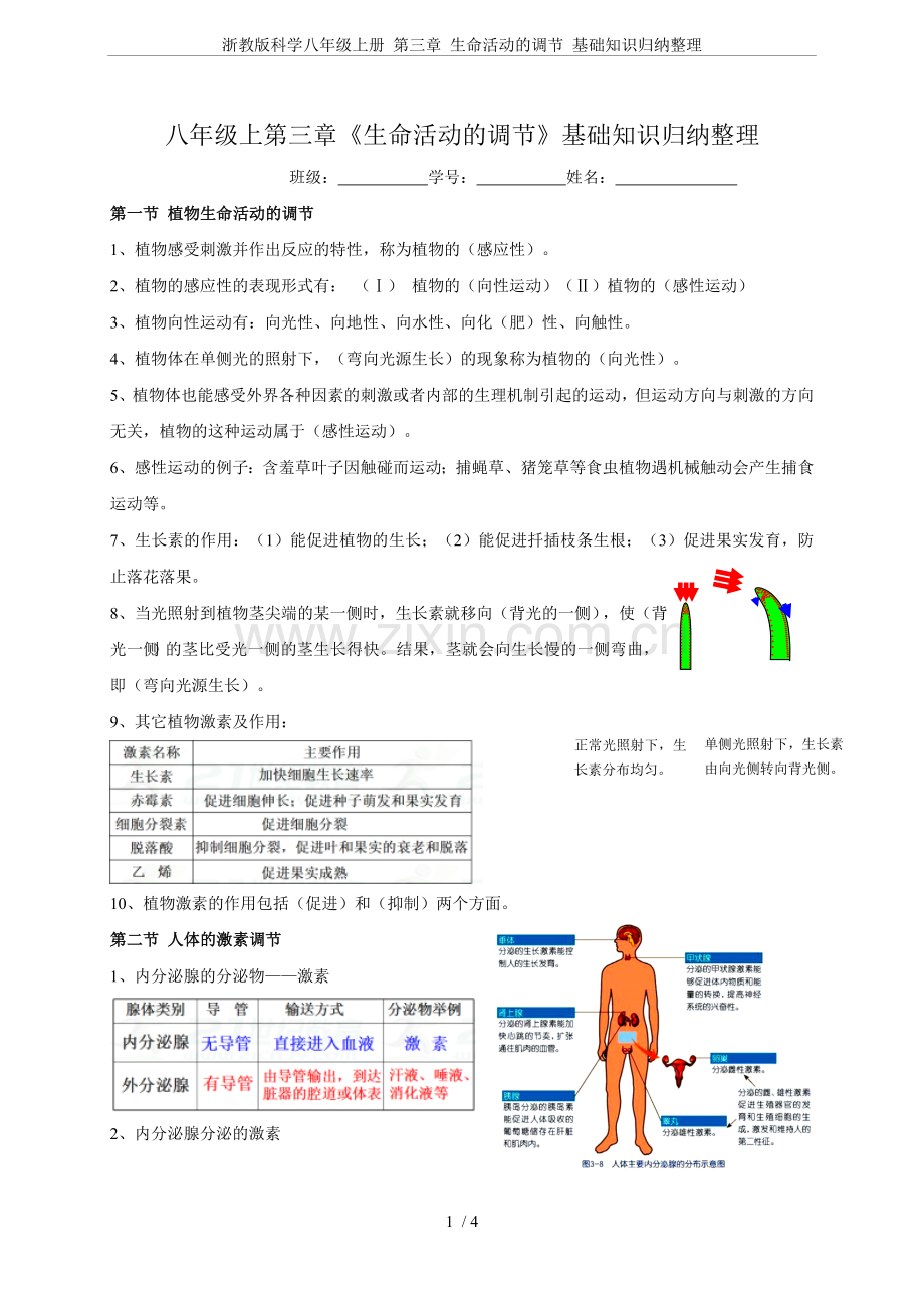 浙教版科学八年级上册第三章生命活动的调节基础知识归纳整理.doc_第1页