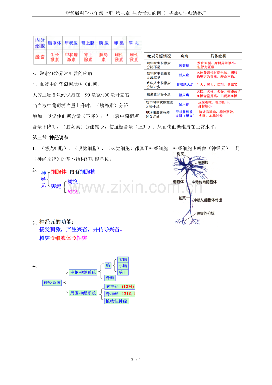 浙教版科学八年级上册第三章生命活动的调节基础知识归纳整理.doc_第2页