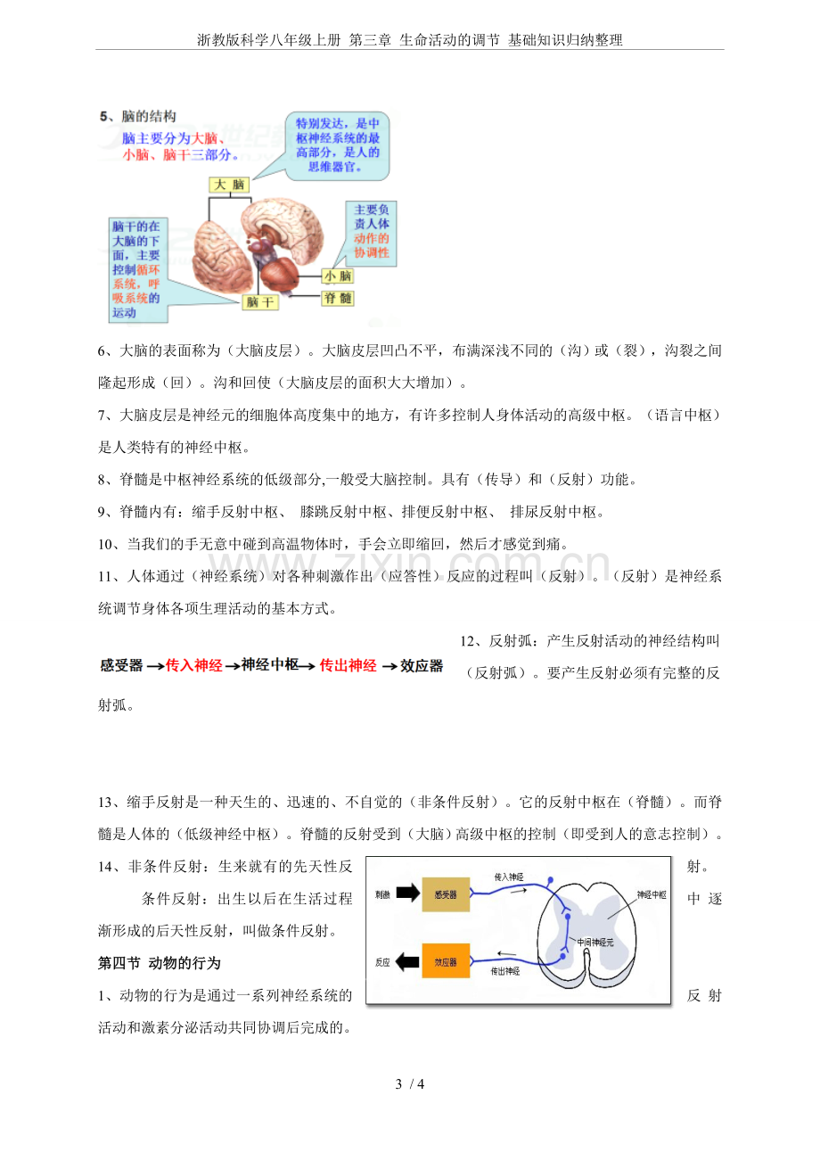 浙教版科学八年级上册第三章生命活动的调节基础知识归纳整理.doc_第3页