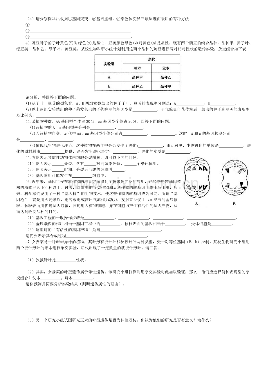 高中生物必修二练习题.doc_第3页