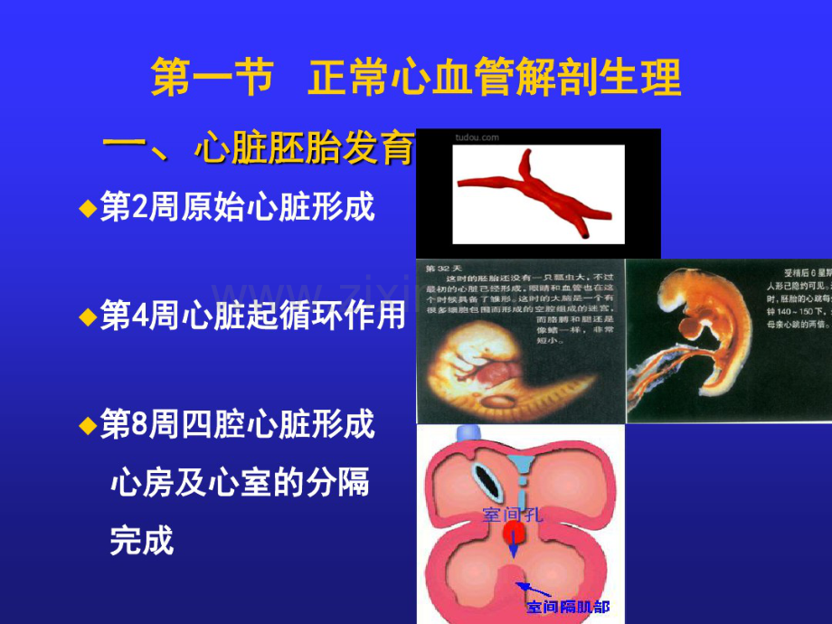 先天性心脏病优秀课件PPT.pdf_第3页