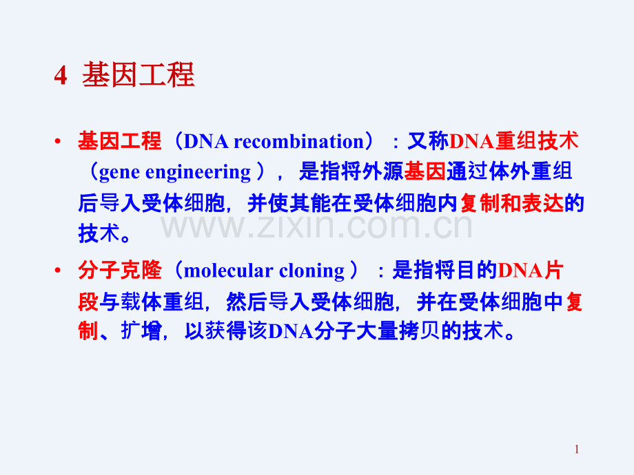 分子生物学-基因工程和核酸杂交.ppt_第1页