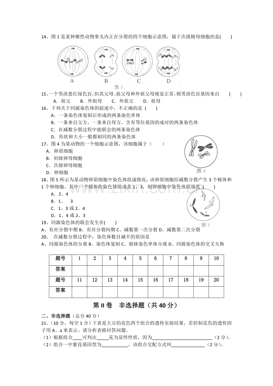 高一生物必修二第一次月考.doc_第2页