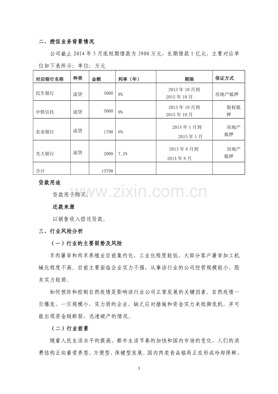 授信报告样本.doc_第3页