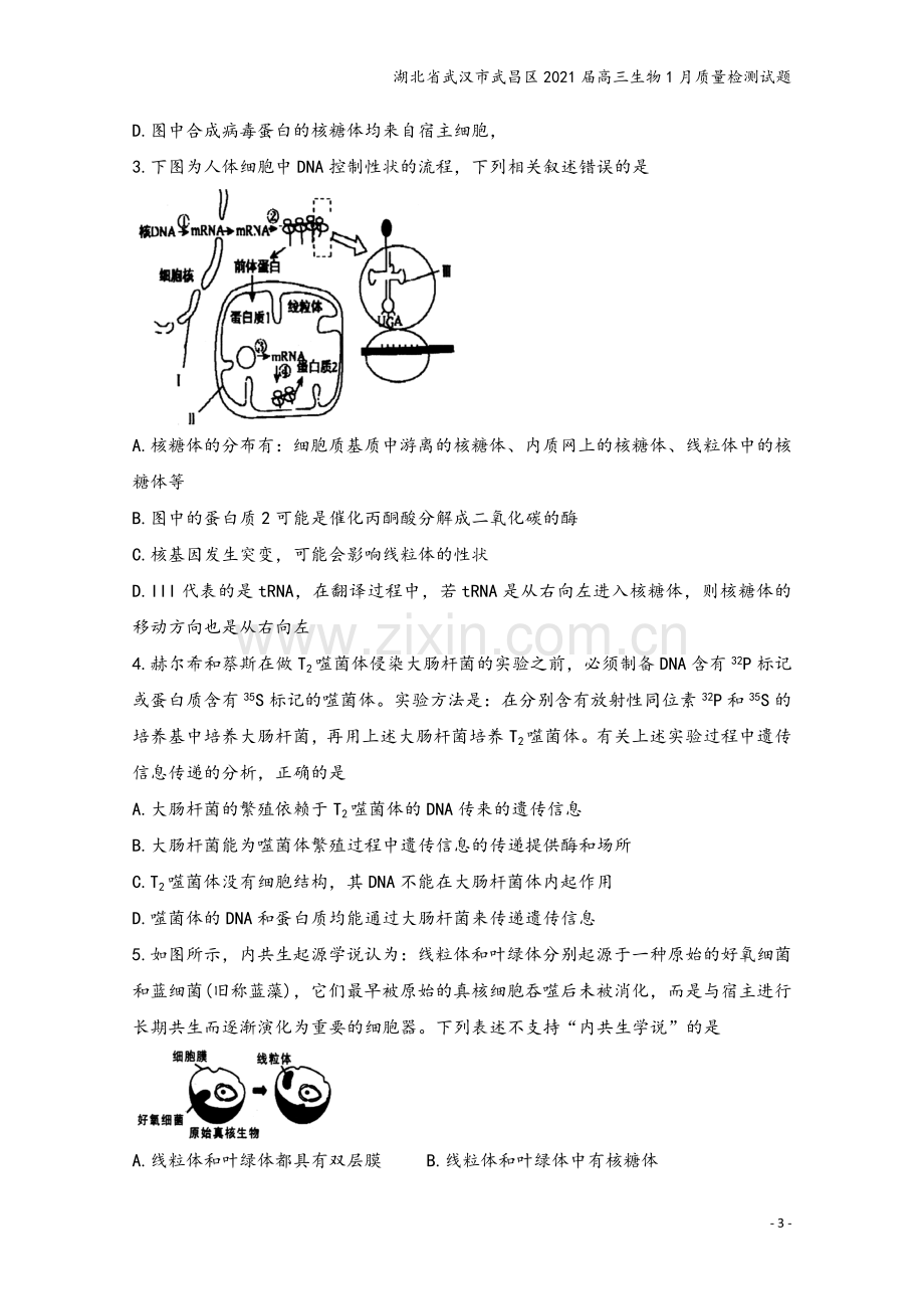 湖北省武汉市武昌区2021届高三生物1月质量检测试题.doc_第3页