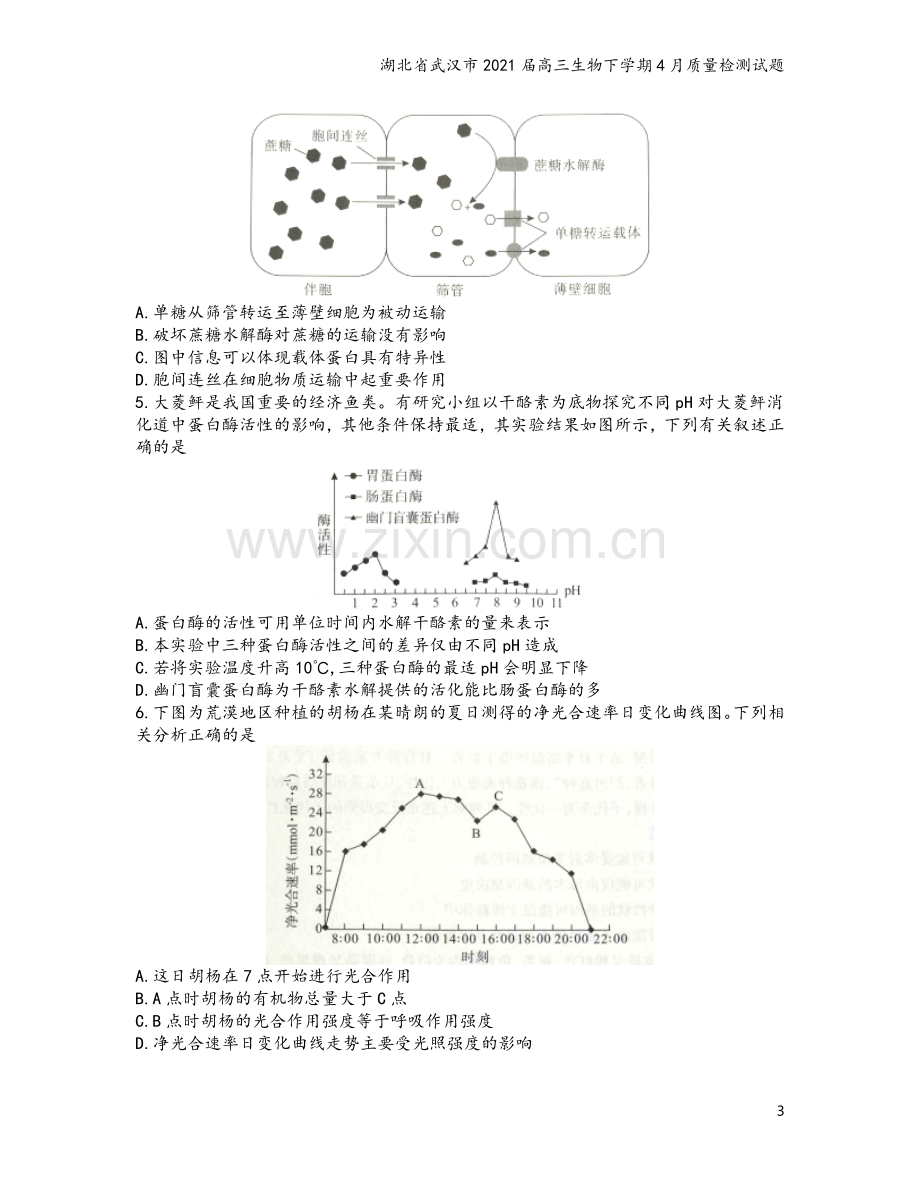 湖北省武汉市2021届高三生物下学期4月质量检测试题.doc_第3页