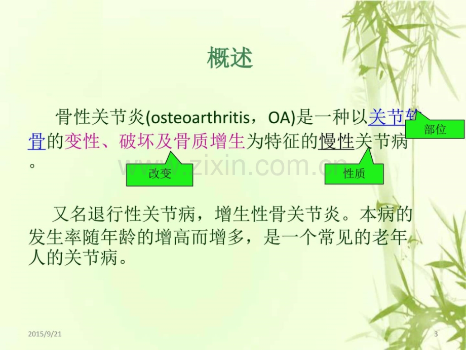 骨性关节炎护理【可编辑的PPT文档】.ppt_第3页