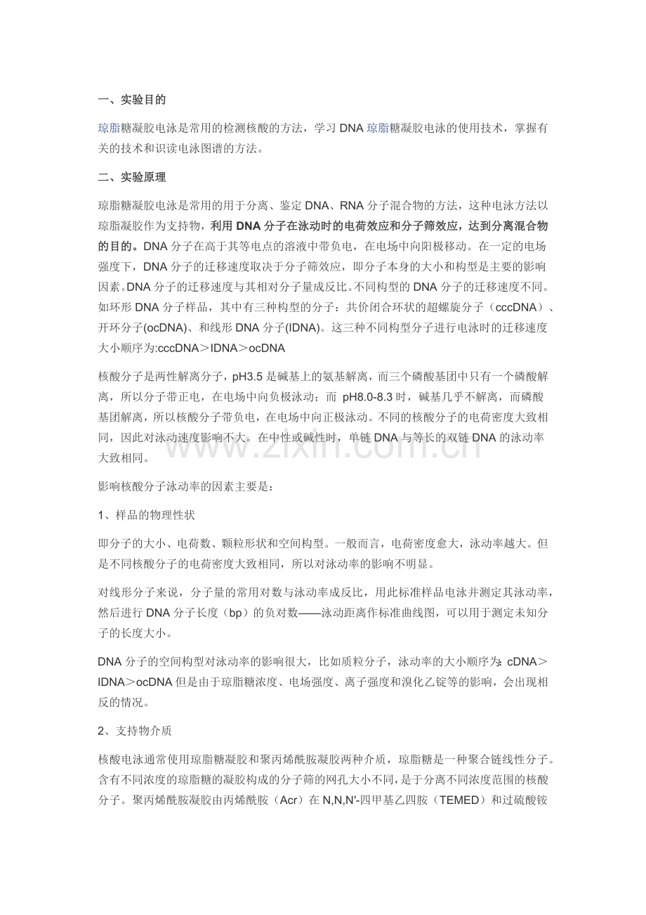 DNA的琼脂糖凝胶电泳实验原理和操作步骤.doc_第1页