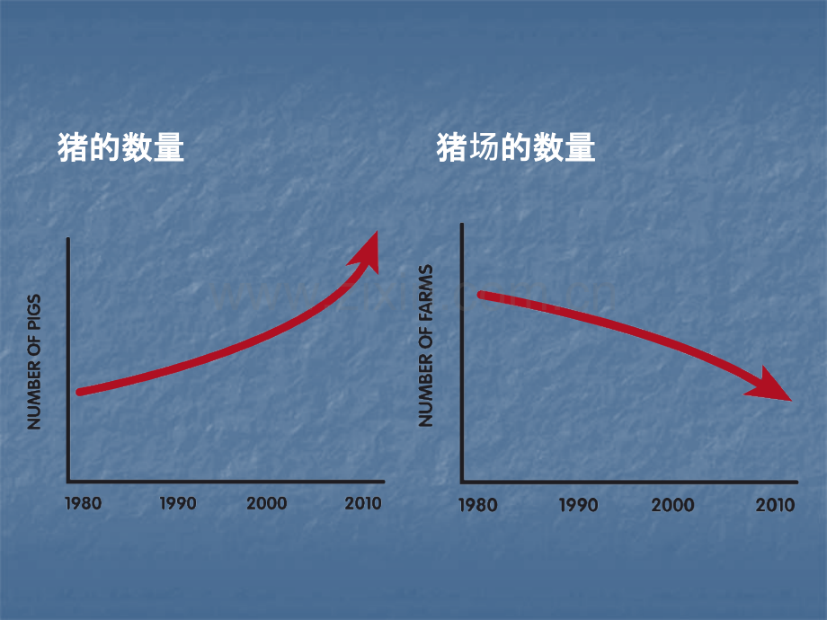 畜牧管理系统.ppt_第3页