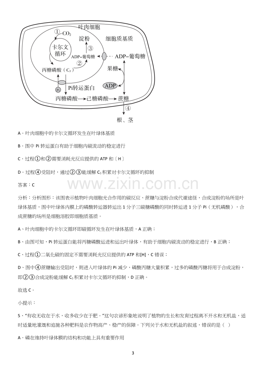 四川省部分中学2023高中生物第5章细胞的能量供应和利用知识集锦.docx_第3页