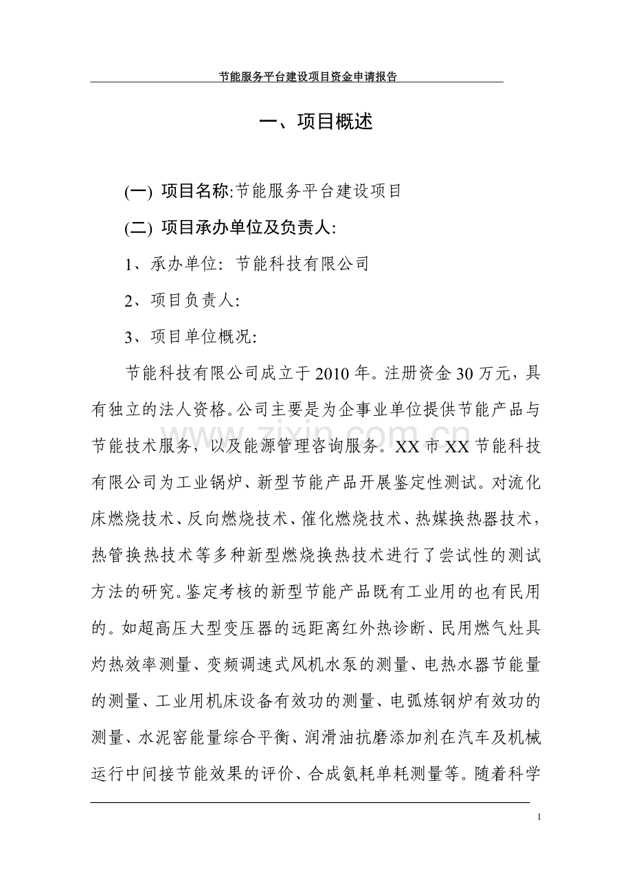 节能服务平台建设项目资金申请报告.doc_第1页