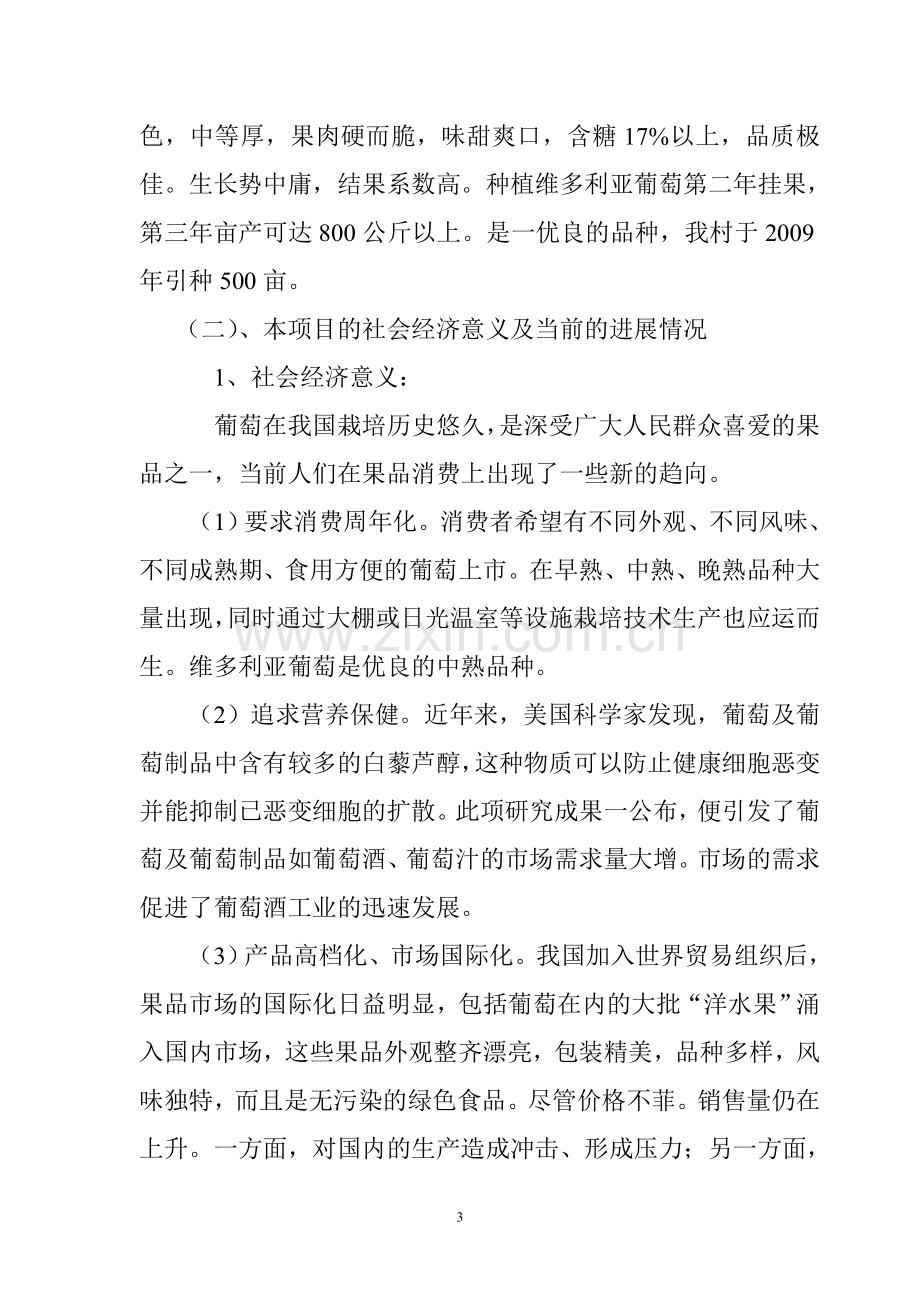 维多利亚葡萄良种标准化示范栽培可行性策划书.doc_第3页